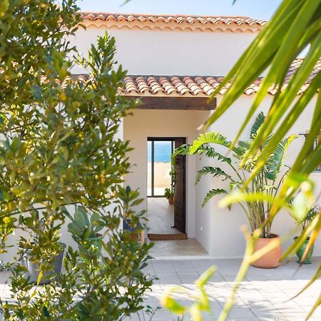 Les Cactus Bleus Bed & Breakfast Sausset-les-Pins Eksteriør bilde